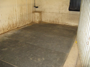 Figure 2. Rubber stall mats are an easy-to-clean, soft stall for horses. 