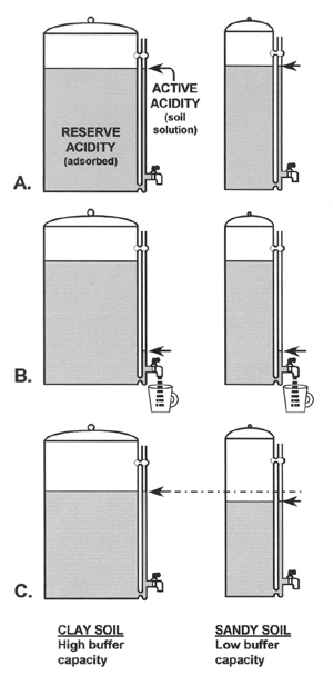 Figure 2.	An analogy of coffee removal from urns to lime effects on active and reserve acidity. 