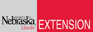 Extension logo