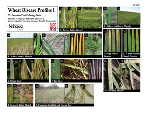 Wheat Disease Profiles I | EC1873 | 2011 | Nebraska Extension Publications