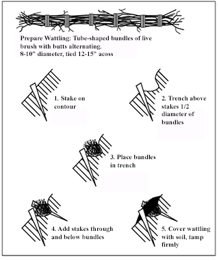 Figure 1. Preparation of wattling and installation procedure. 