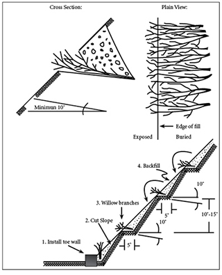 Figure 2. Installation of brush layering.