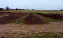 Figure 2. Composting windrows.