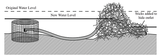 Figure 7. A beaver pond leveler