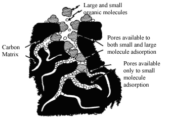 Figure 1. Activated carbon particle. Adapted from Culp, G.L., and R.L. Culp. 1974. New Concepts in Water Purification. Van Nostrand Reinhold Co., New York. 