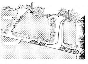 Figure 4. Two approaches to making a trap set belowground for pocket gophers. 