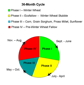 Figure 1. Four phases of a three-year, summer-fallow cropping system. 