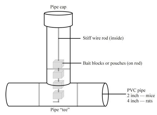 Figure 3. Homemade bait station.