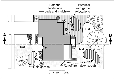 Figure 2. Comparison of rain garden “islands” in turf lawn (below AB line), with rain garden in mulch bed, non-turf area (above AB line).