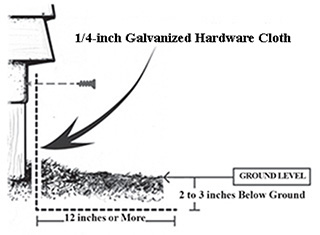 Figure 4. Exclusion screen to prevent skunks from entering a crawl space.