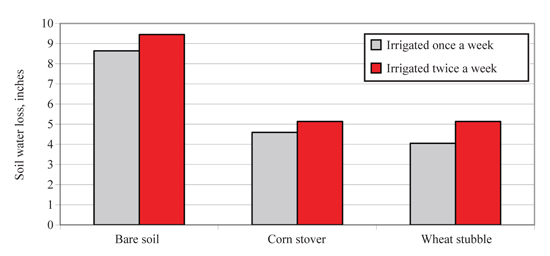 Figure 4.	Water loss to transpiration for irrigated corn at Garden City Kan., with all crop residue remaining compared with bare soil.