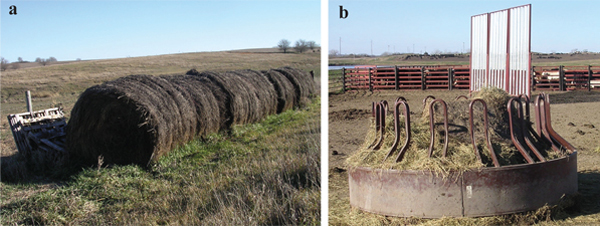 Figures 2a and 2b. Round bales are one option for simplfied winter time forage feeding. 