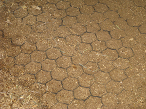 Figure 4. Installed honeycomb-shaped flooring. 