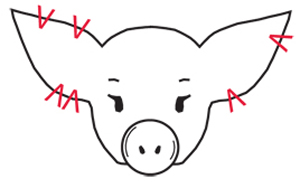 Figure 4. Examples of properly notched pigs. 