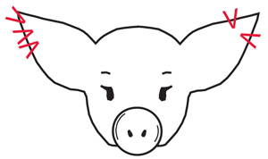 Figure 4. Examples of properly notched pigs. 