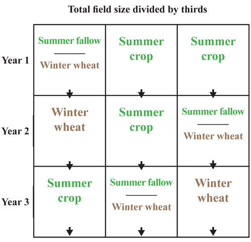 Figure 4. A potential plan for CRP conversion. 