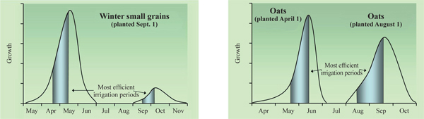 Figure 7. Typical growth pattern of cool-season annual grasses. Shaded bars represent rapid growth phases for these grasses and periods of efficient irrigation when planted at the indicated dates.