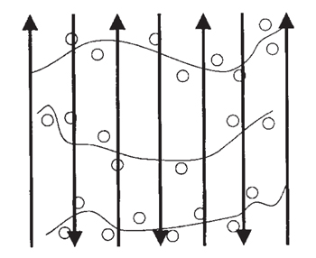 Figure 4. Passes of burrow builder across rows of mounds.