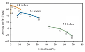 Figure 4. Average profit vs. risk of loss at Sidney, Nebraska