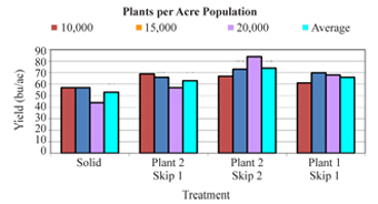 Figure 5. Skip-row rainfed corn 2005 — Trenton, Nebraska. 