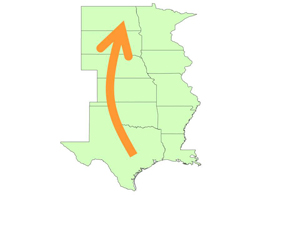 Figure 2. Pathway (arrow) of windborne rust spores during the wheat growing season (April to June) in the Great Plains states.