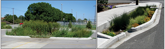Figure 8. Curb cuts into parking lot island (left) and rain garden in street right-of-way (right).