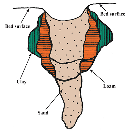 Figure 1. Water moves through sandy soils in a deeper and narrower pattern than it does through loam or clay.