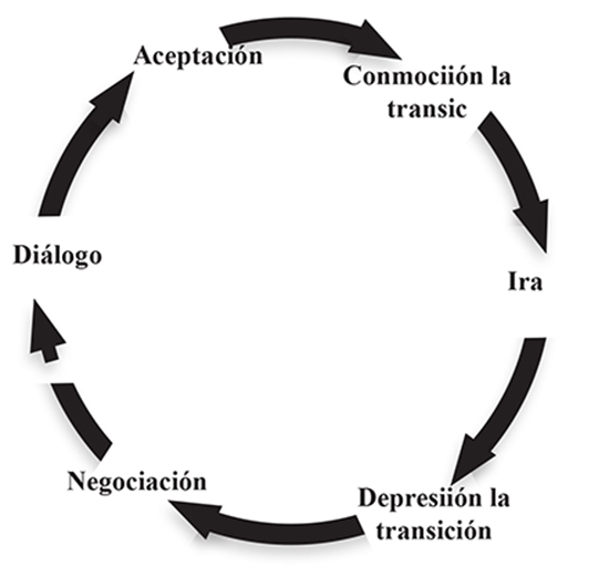 Figura 1. Las etapas del ciclo de dolor