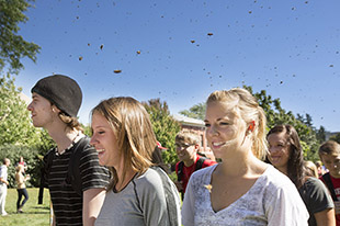 Figure 3. Walking thru swarm