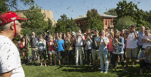 Figure 4. Standing in swarm