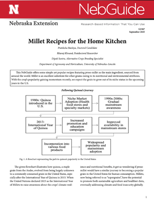 Cover Display for G2367